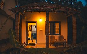 Roots By Revibe